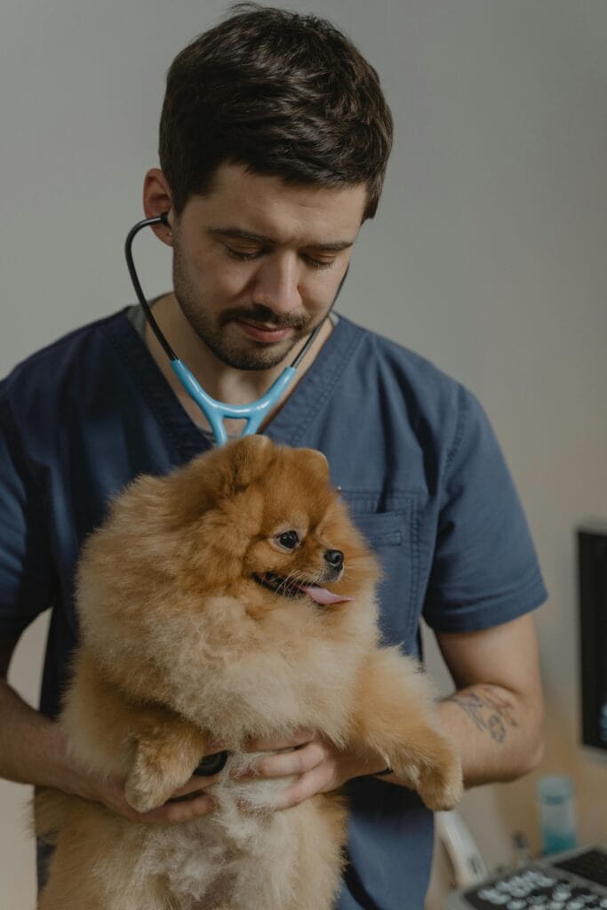 pet health clinic